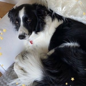 Meet your Posher, Elise